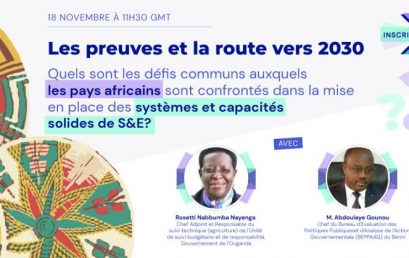 Webinaire :solutions de S&E conduites par l’Afrique.